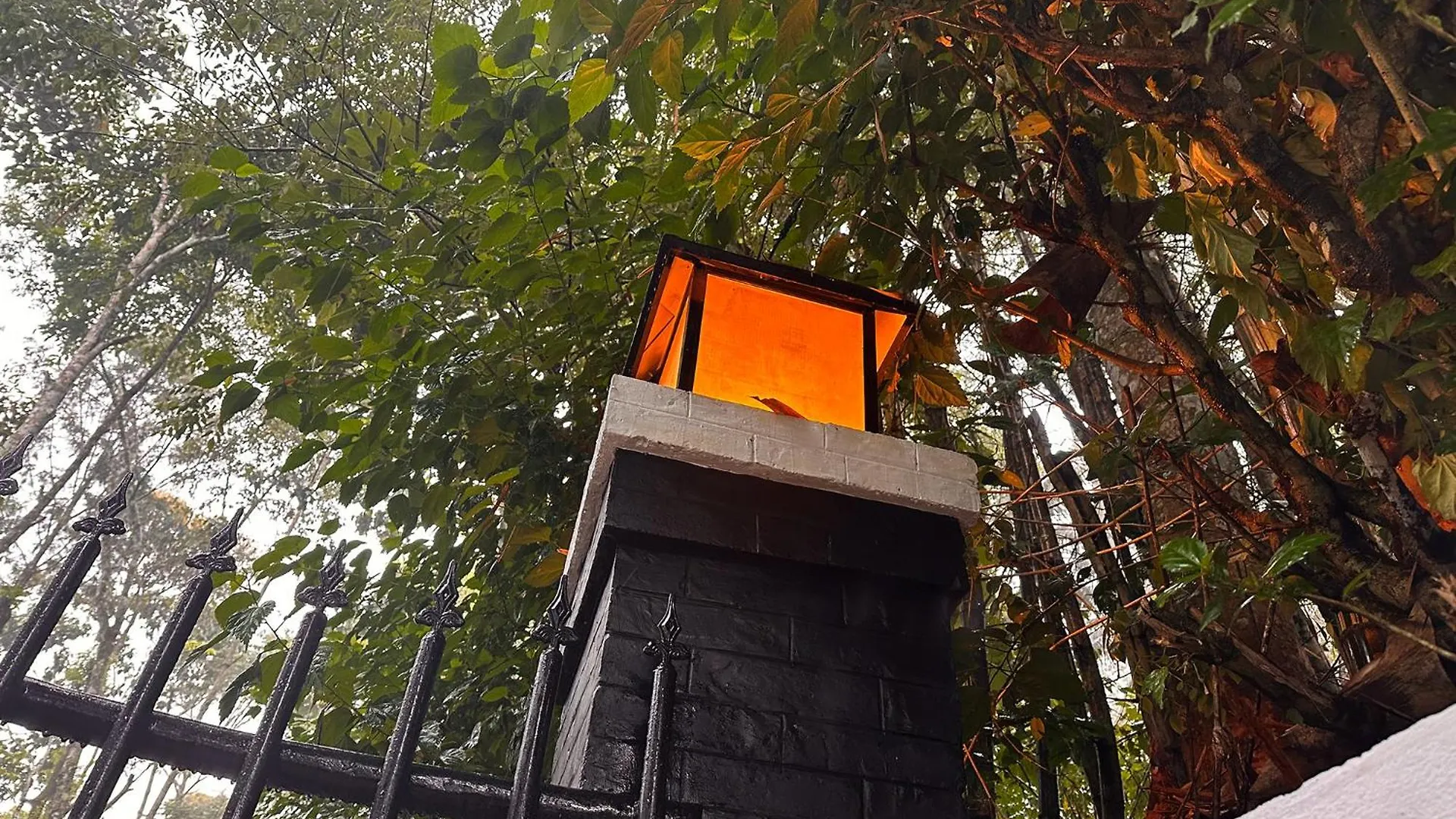 Viceroy Luxury Mountain Resort And Spa ムンナール インド