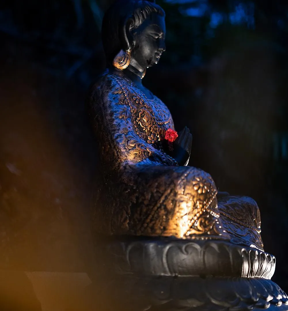Viceroy Luxury Mountain Resort And Spa ムンナール