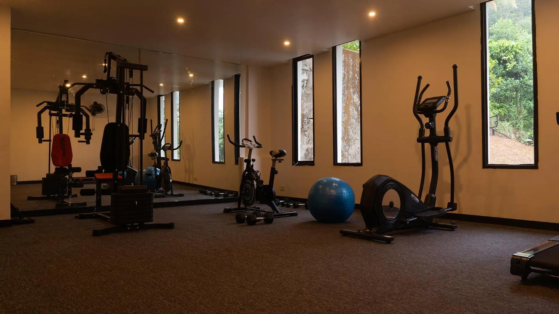 Viceroy Luxury Mountain Resort And Spa ムンナール 5*,  インド