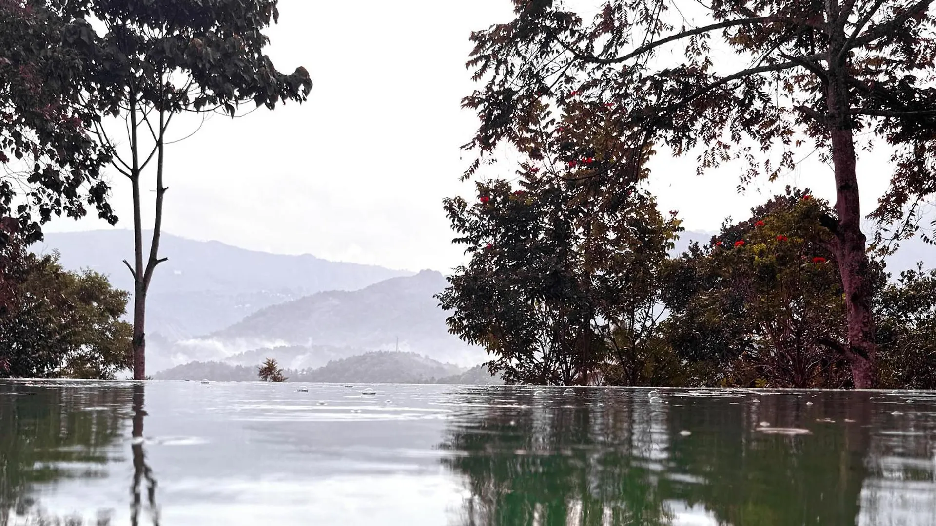 Viceroy Luxury Mountain Resort And Spa ムンナール