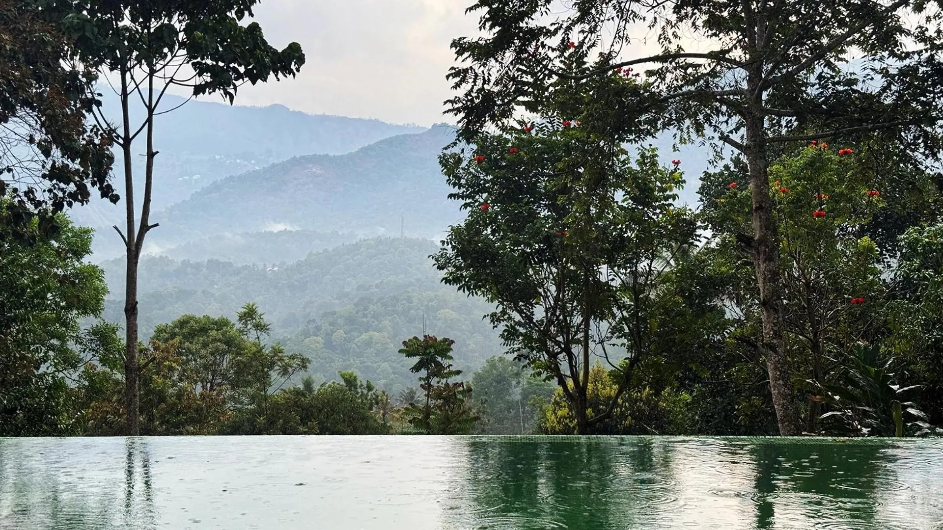 ホテル Viceroy Luxury Mountain Resort And Spa ムンナール